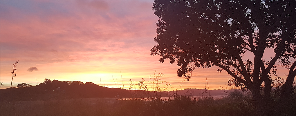 Die erste Woche – Von Lehrern, Karaoke und anderen Begebenheiten