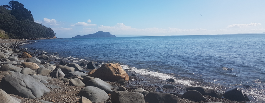 1 Monat Neuseeland – Ein Update