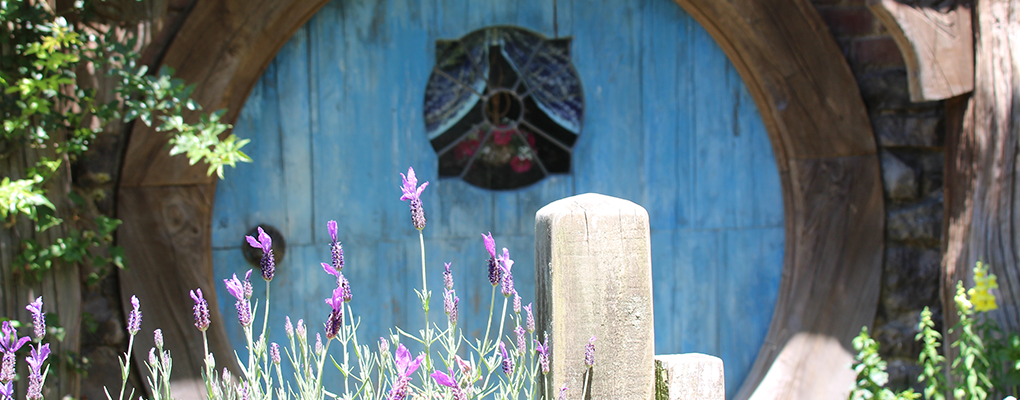 A journey to Middle Earth