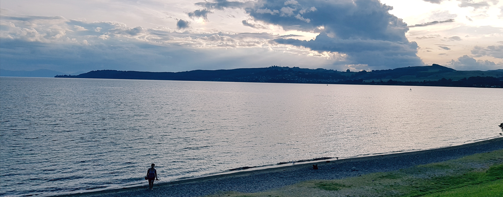 Roadtrip von Whitianga nach Wellington